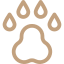 paw